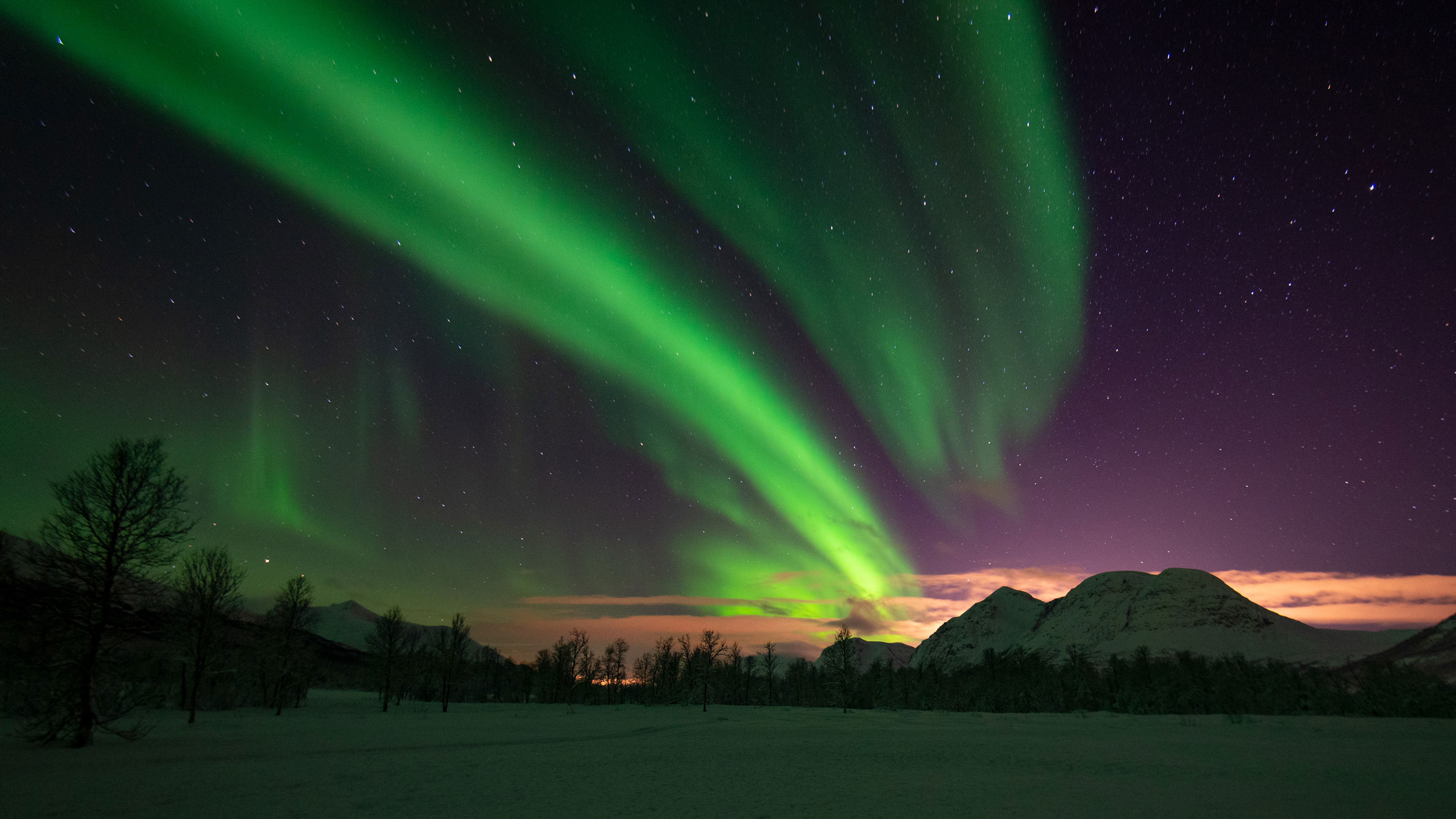 Northern lights (aurora borealis) near Tromsø in Norway