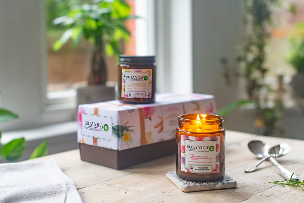 Botanica candles boxed as a gift set on a wooden table