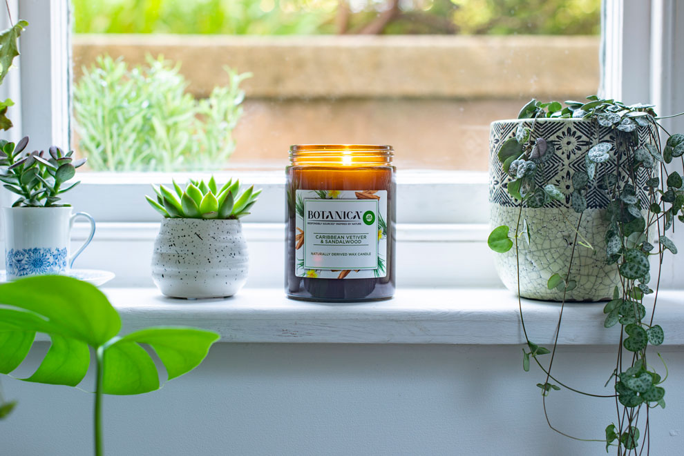 Botanica candle with greenery and potted plants on a windowsill