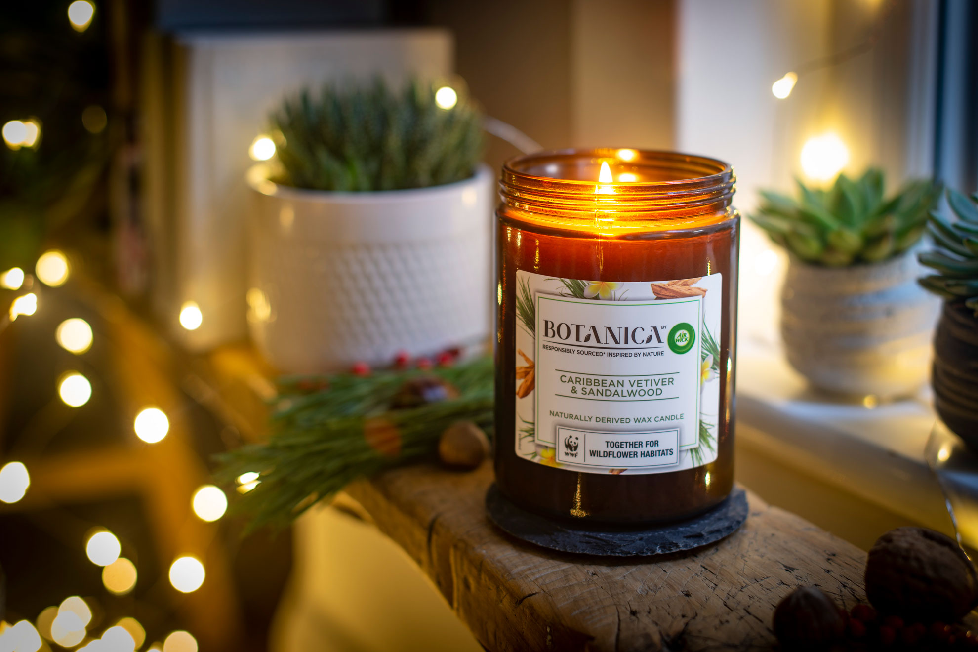 Botanica candle surrounded by fairy lights and potted plants on a cosy wooden shelf