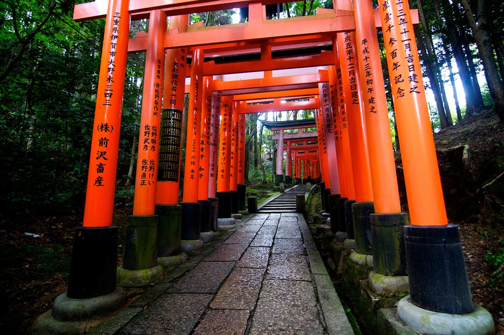 Torii gates at Senbon Torii in Kyoto, Japan 